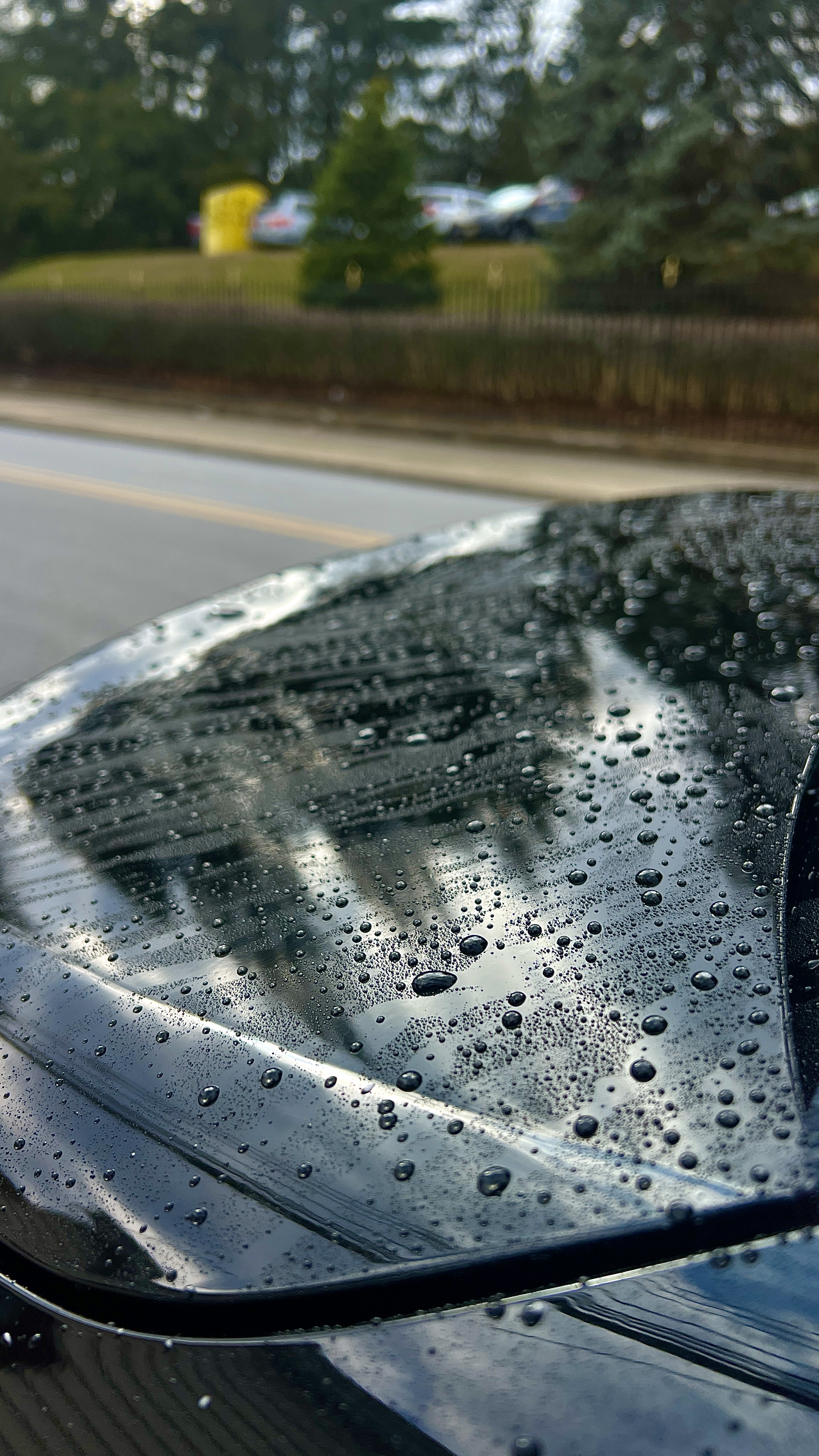 Ceramic Coating Water Beading